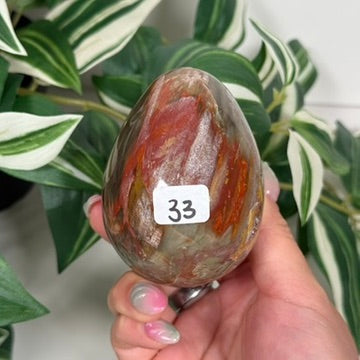 Rainbow petrified wood egg