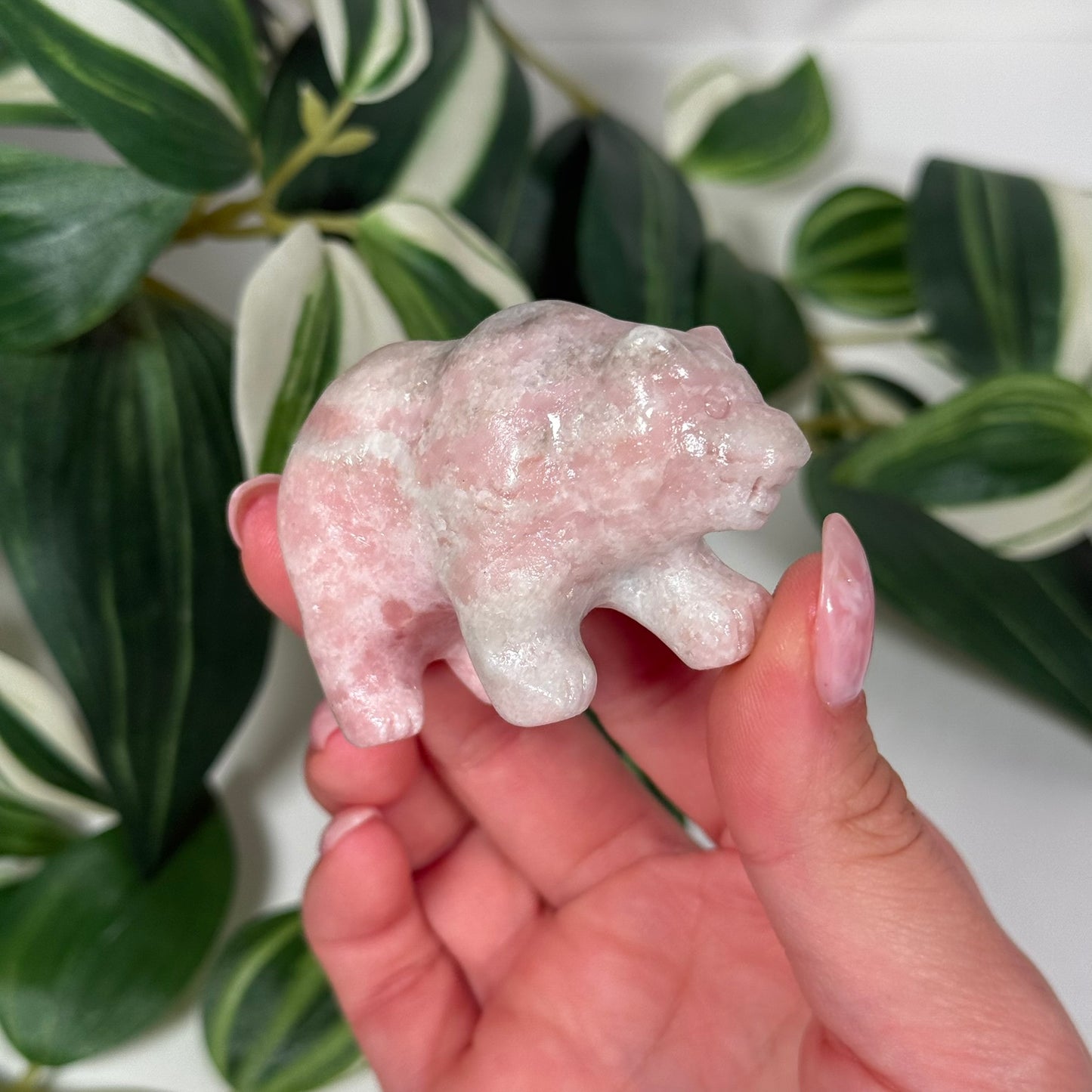 Pink opal bear