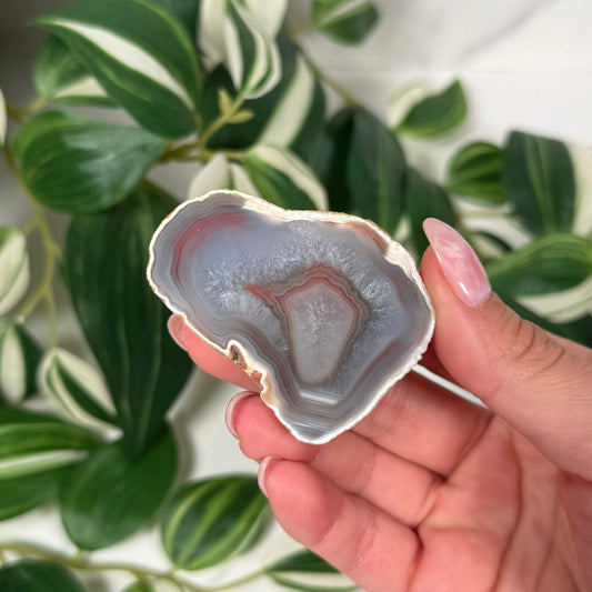 Queensland agate 50