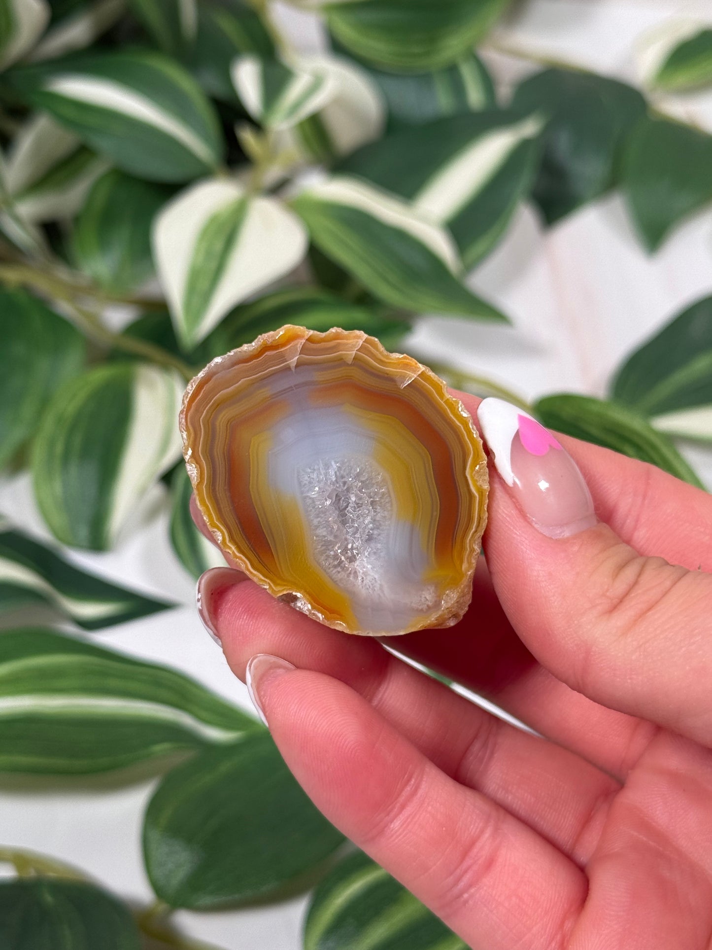 Queensland agate 60b