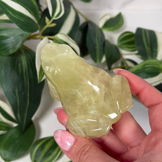 Autralian prehnite frog