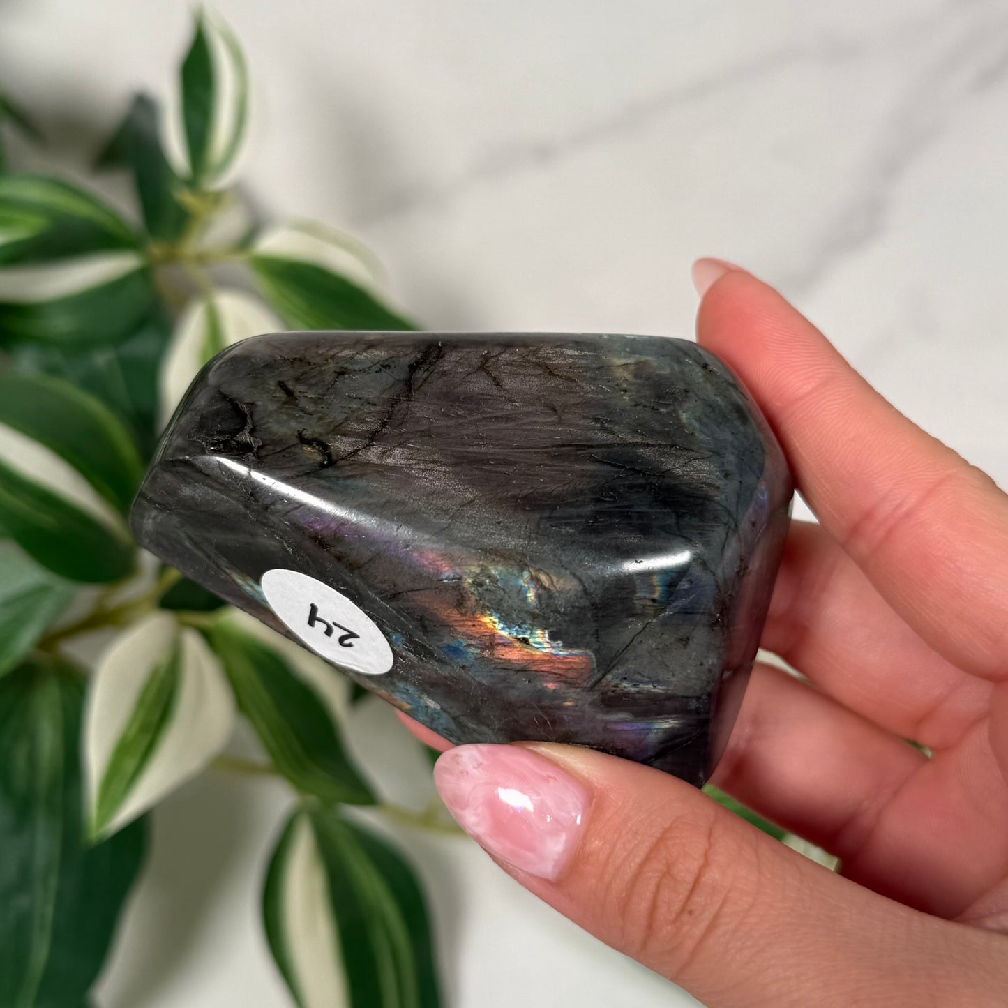 Labradorite freeform 24