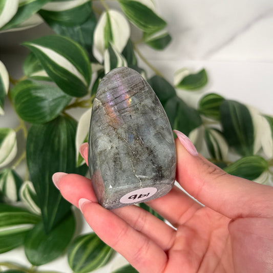 Labradorite freeform 19b