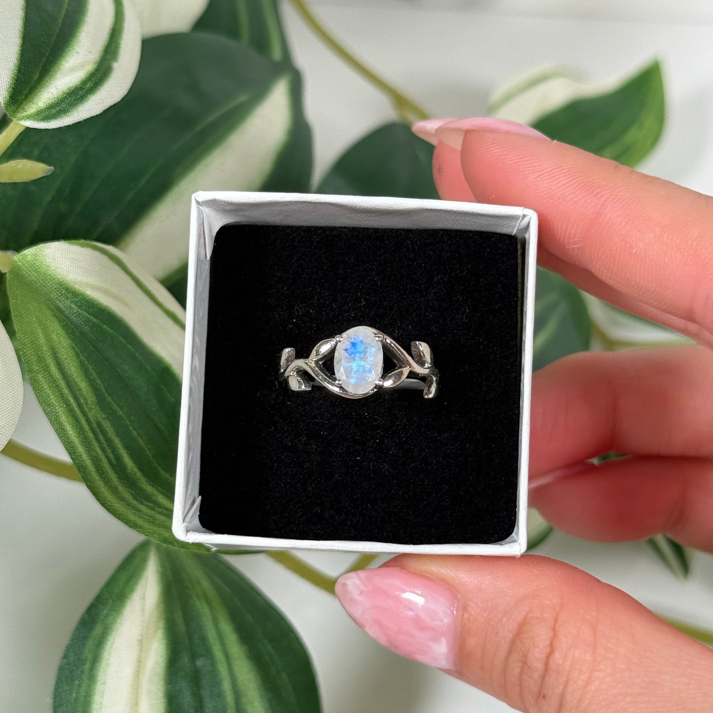 Rainbow moonstone vine ring (Sizes 6, 7, 8)