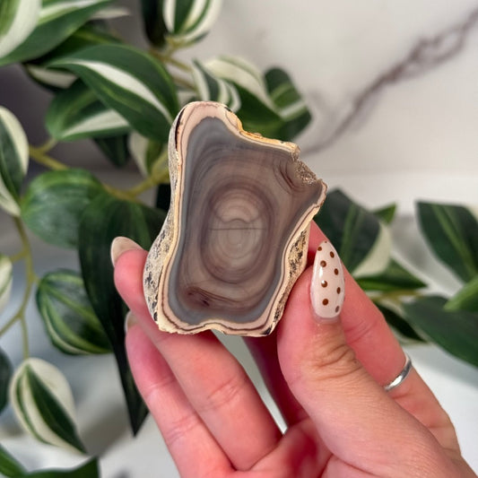 Royal imperial jasper 40