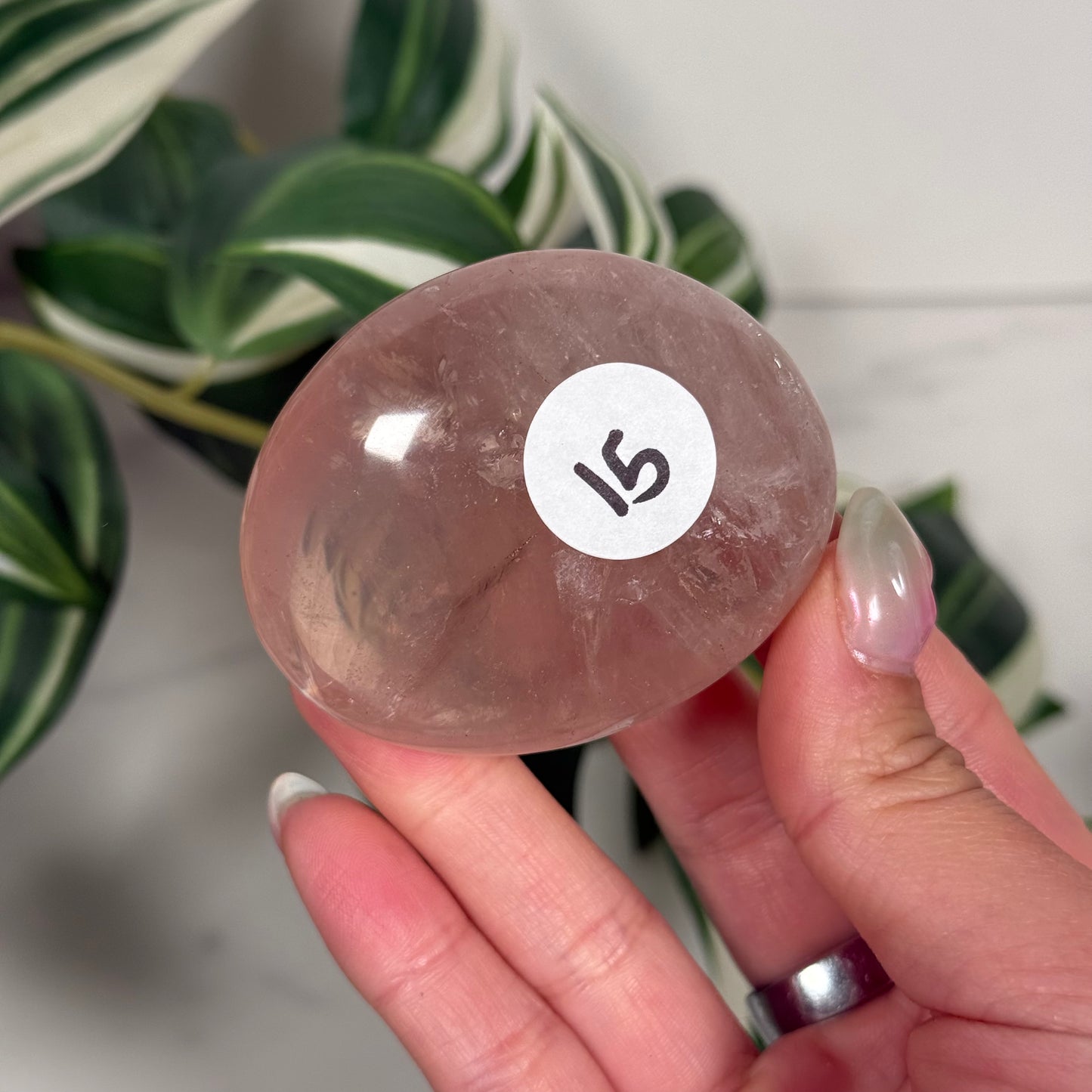 Star rose quartz palmstone