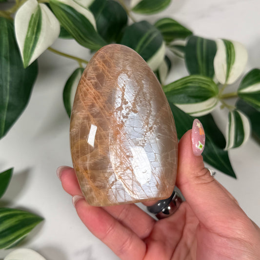 Peach moonstone freeform 29