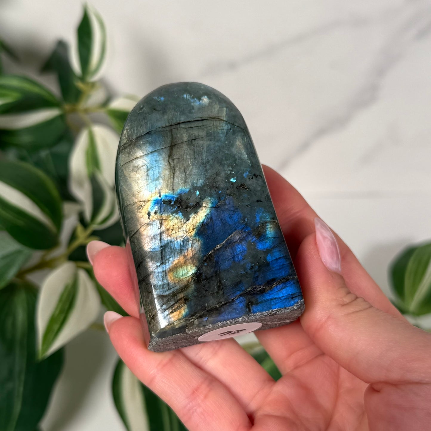 Labradorite freeform 26