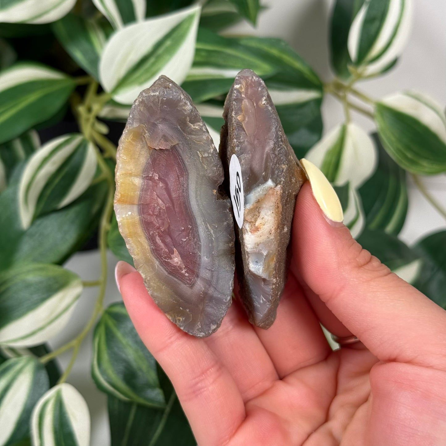 Swazi agate pair 150