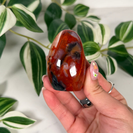 Carnelian freeform 11