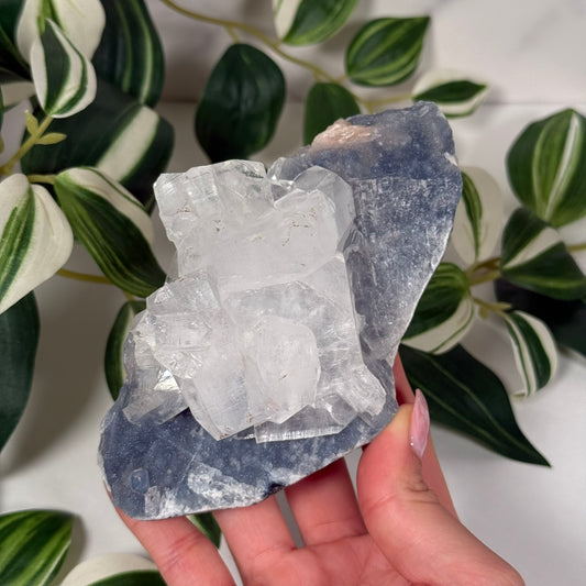Apophyllite on blue chalcedony 115
