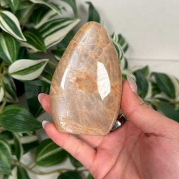 Peach moonstone freeform 25