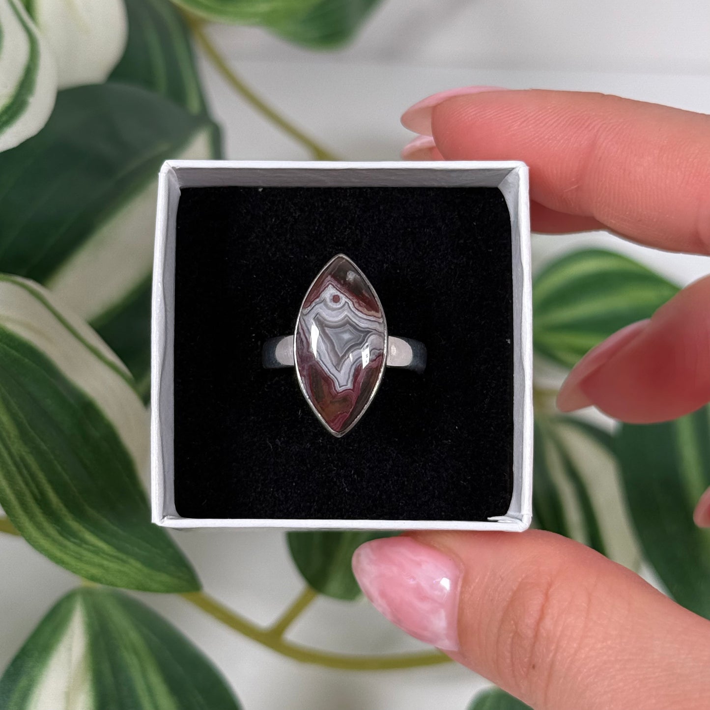 Size 7 Laguna lace agate ring