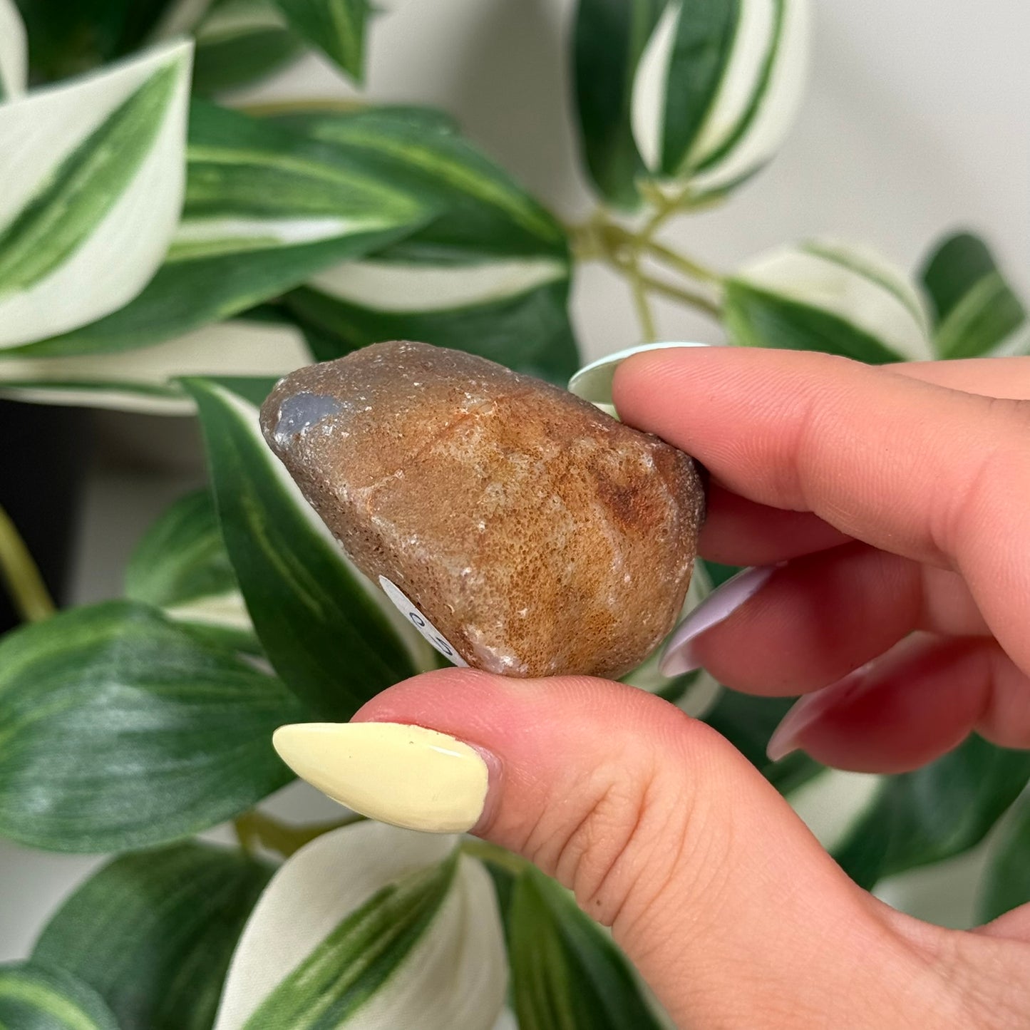 Botswana agate 50