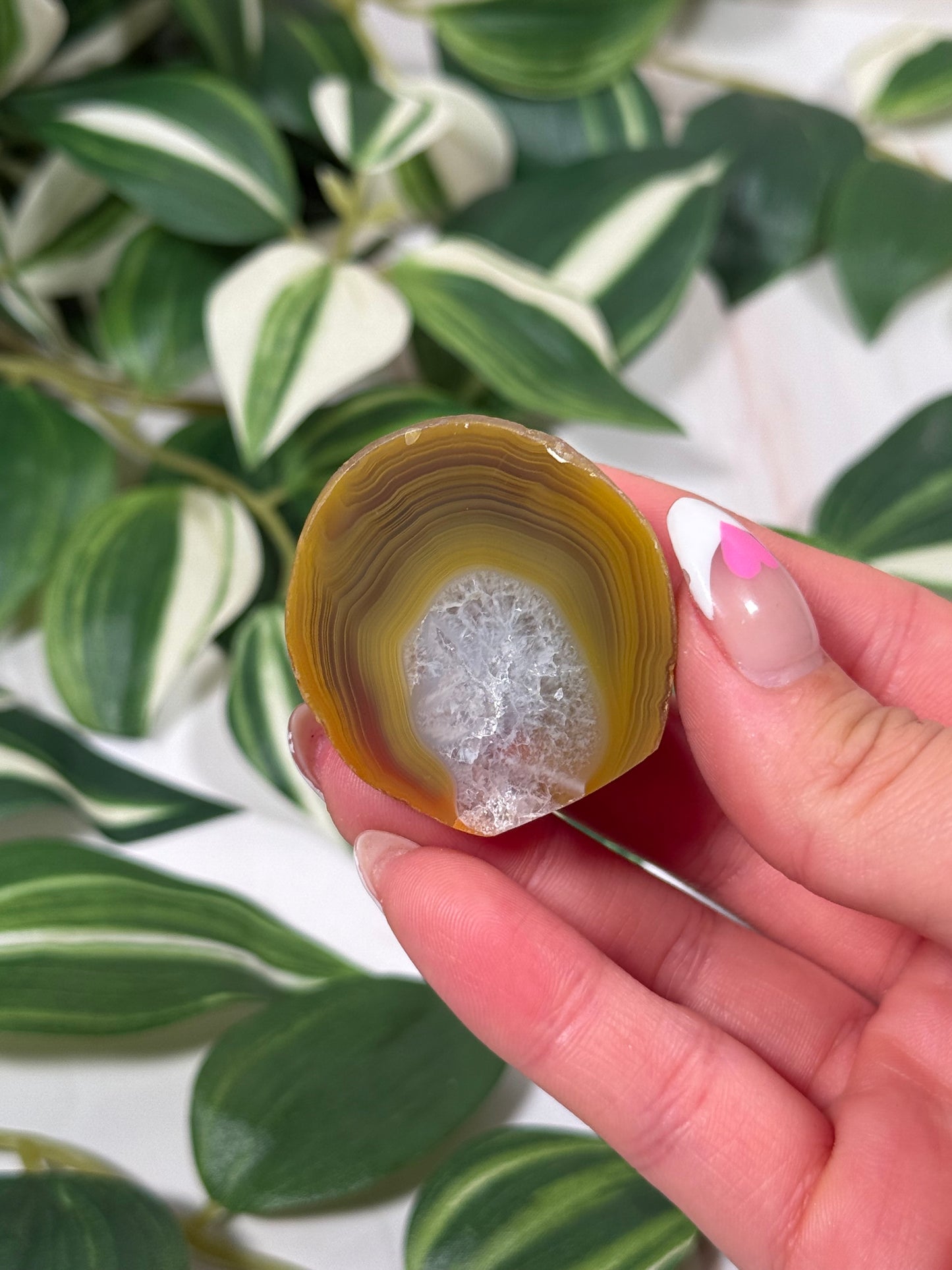 Queensland agate 40c