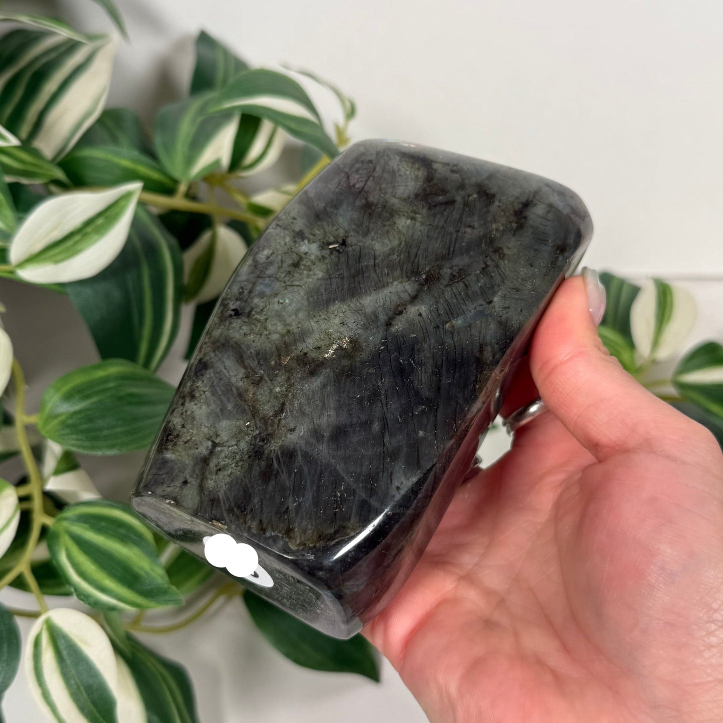 Labradorite freeform 88