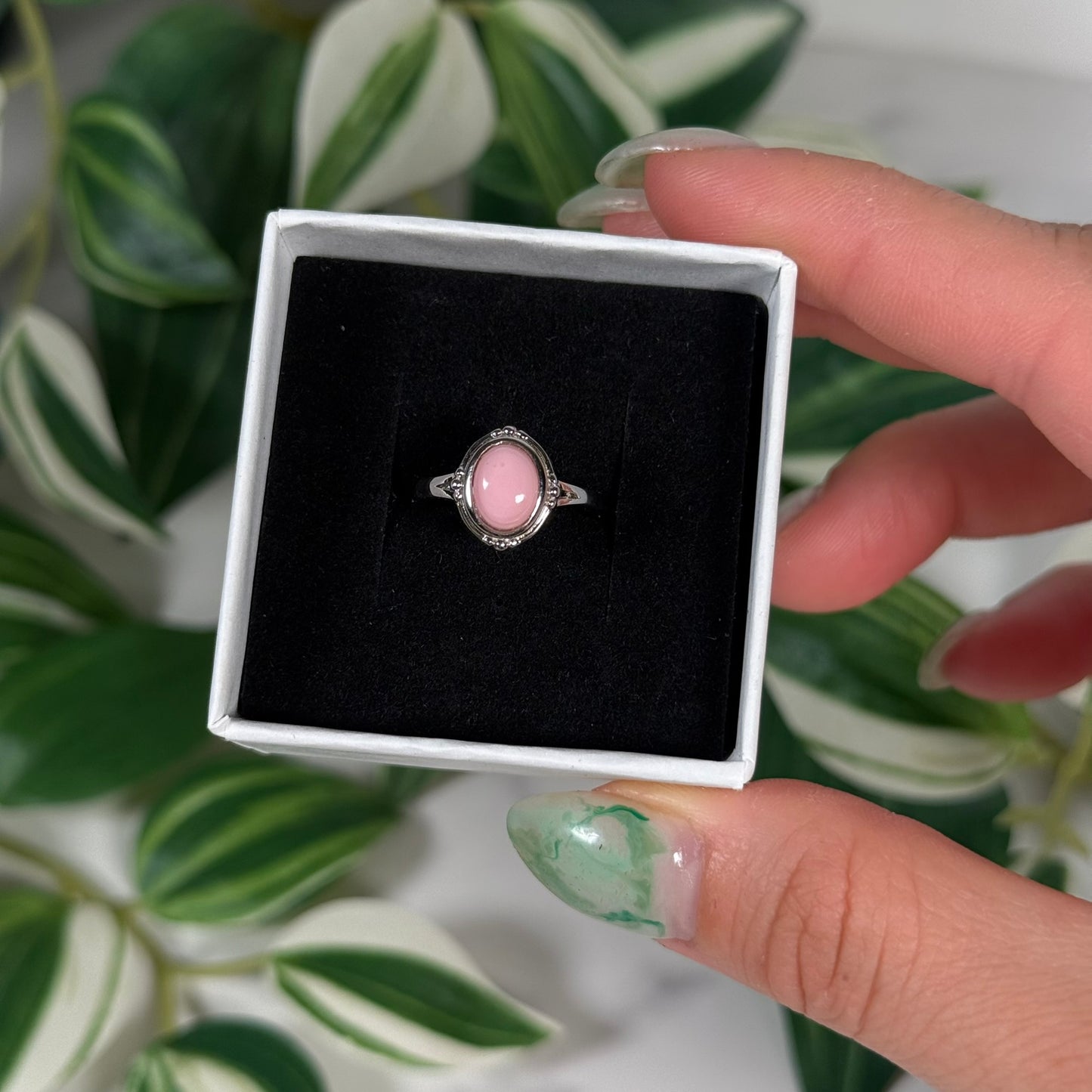 Pink conch shell ring (Sizes 5, 7)