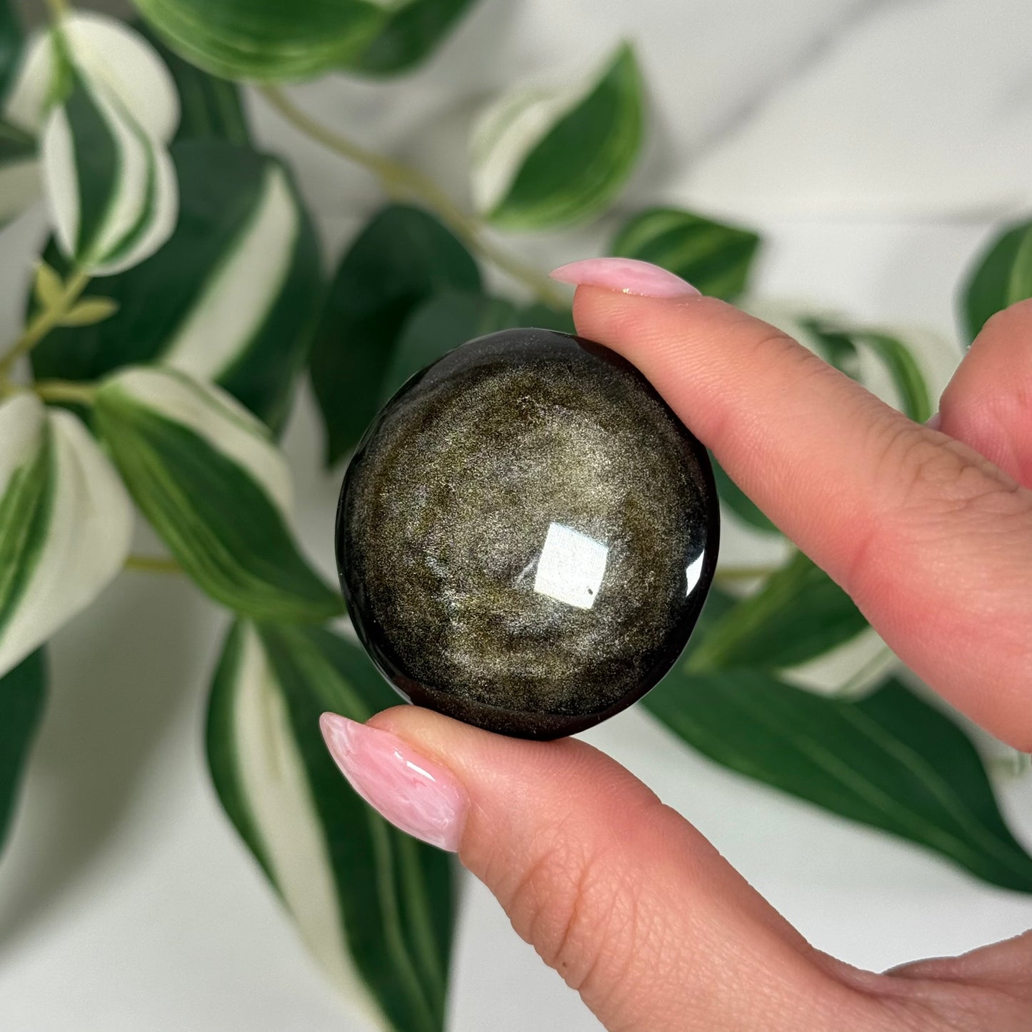 Gold sheen obsidian “cookie”