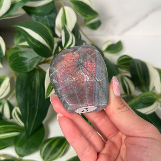 Labradorite freeform 17b
