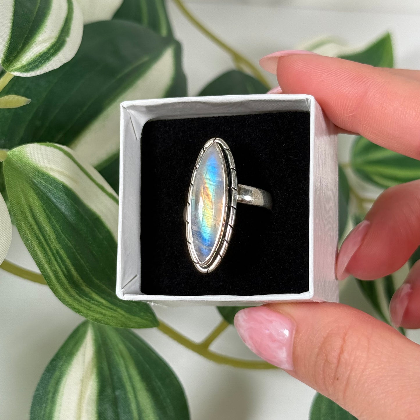Adjustable rainbow moonstone ring