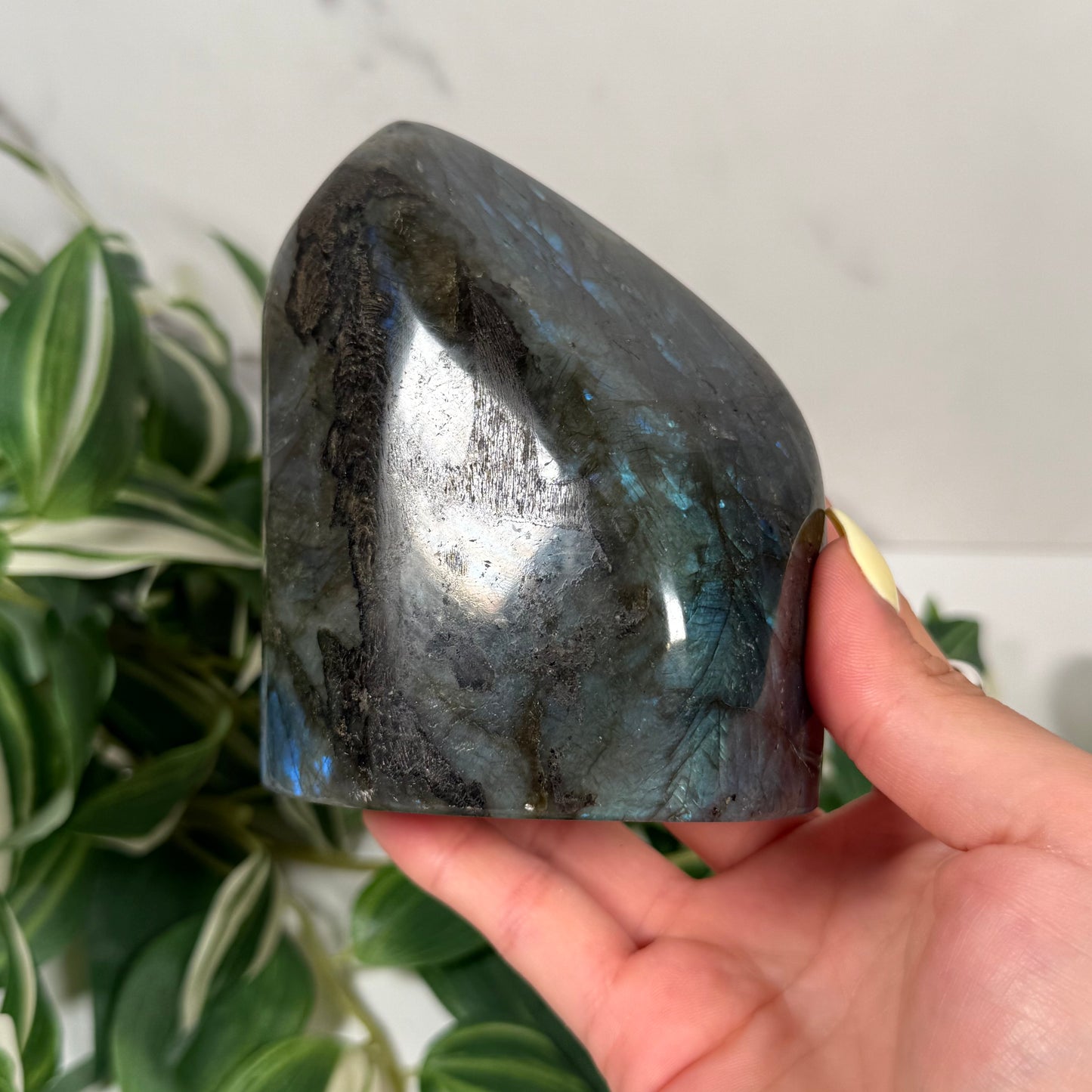 Blue labradorite freeform 47
