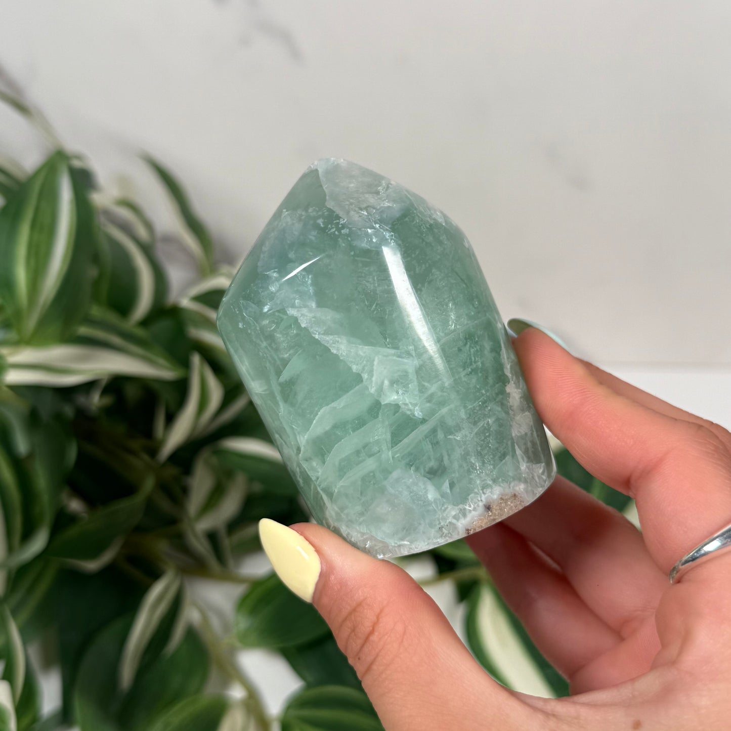 Mexican fluorite freeform 48