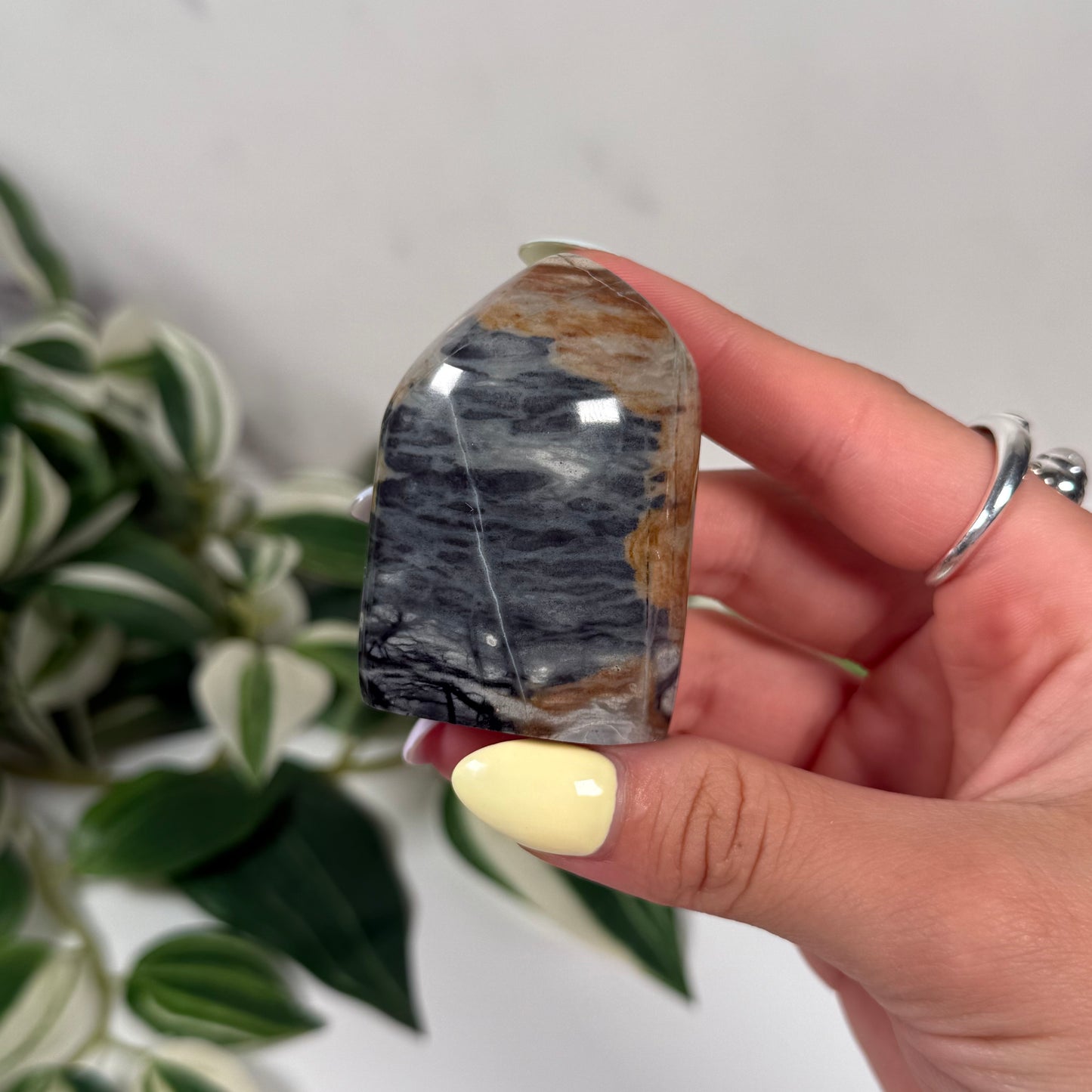 Picasso jasper freeform 12