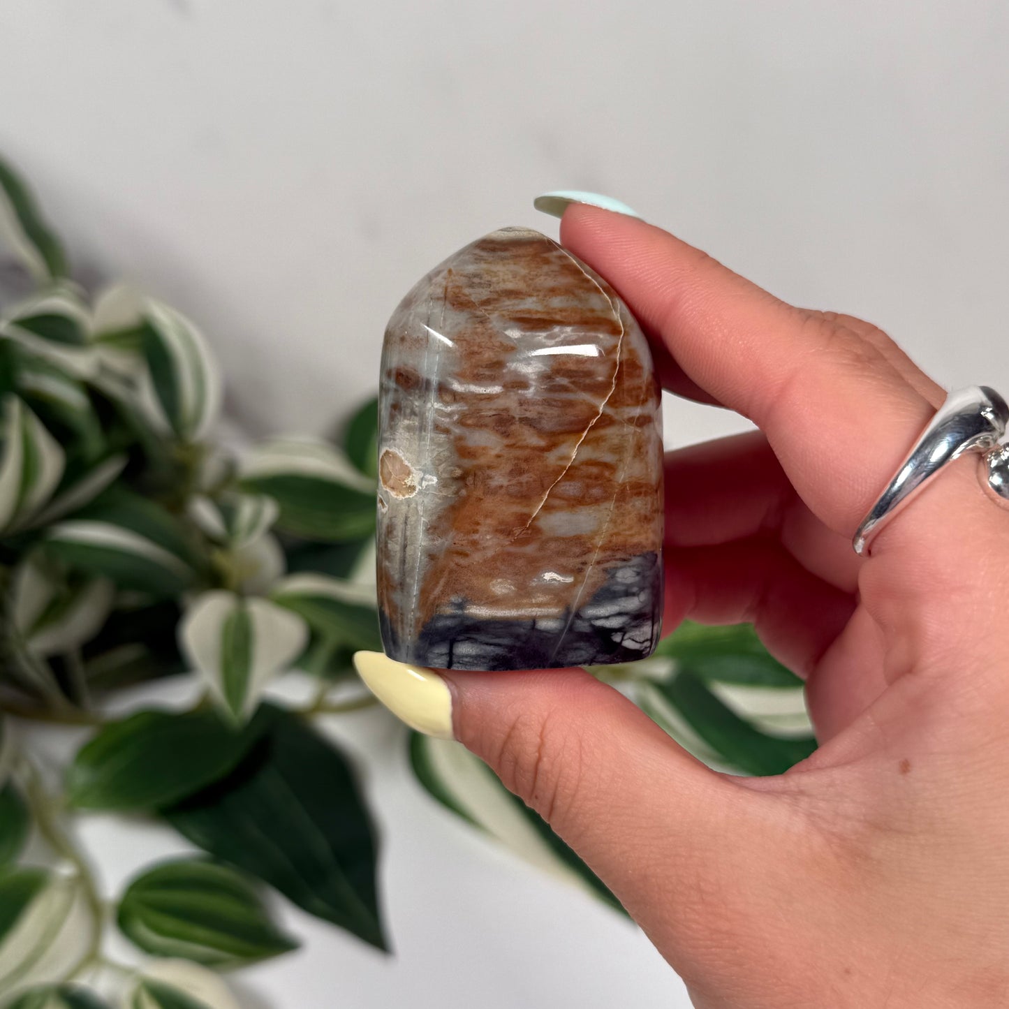 Picasso jasper freeform 12