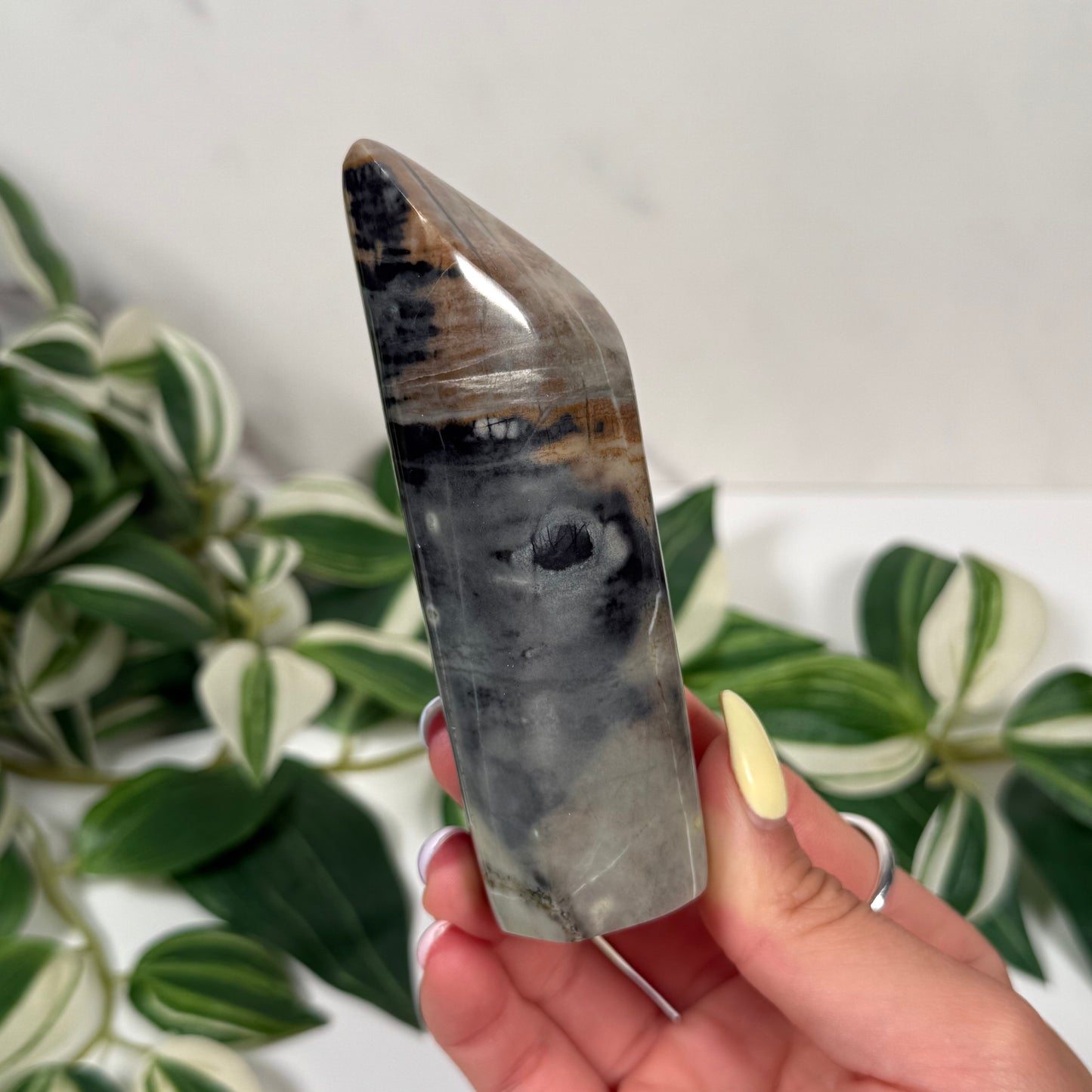 Picasso jasper freeform 23
