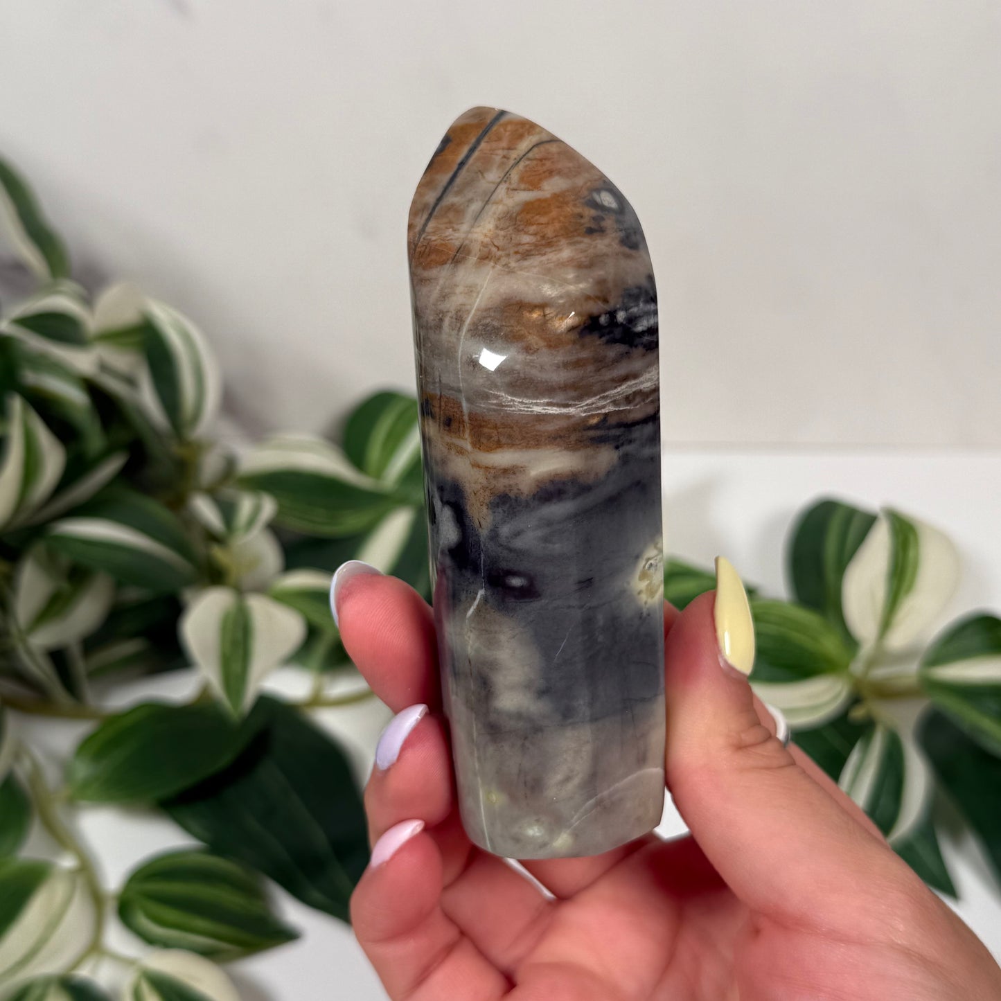 Picasso jasper freeform 23