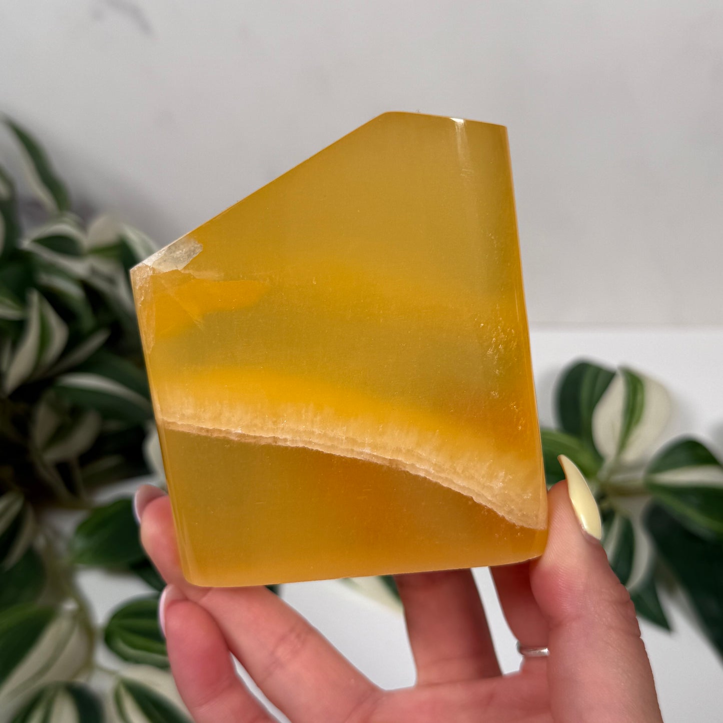 Honeycomb calcite freeform 64