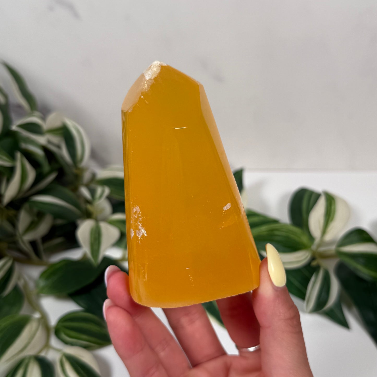 Honeycomb calcite freeform 66