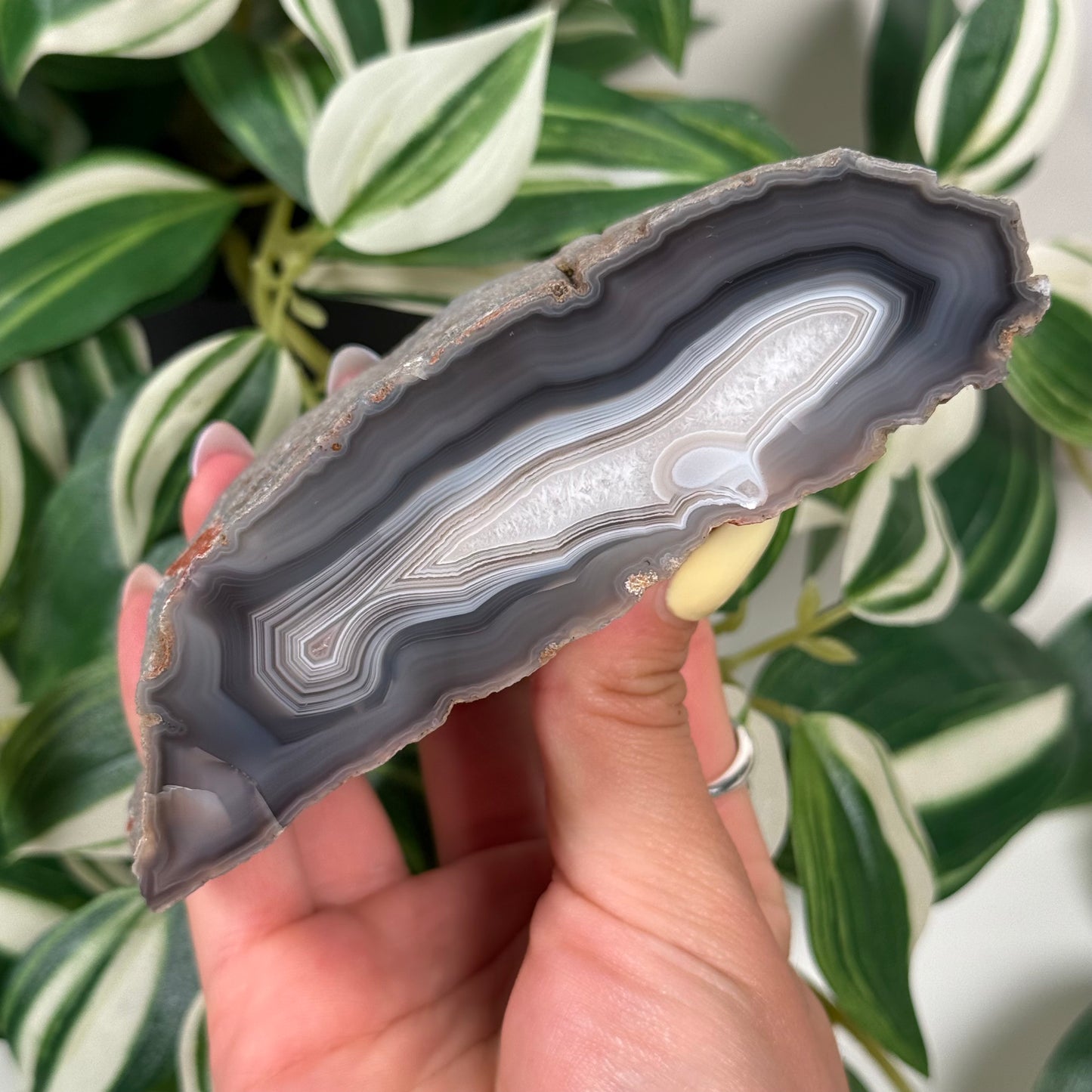 Swazi agate 150 with parallax