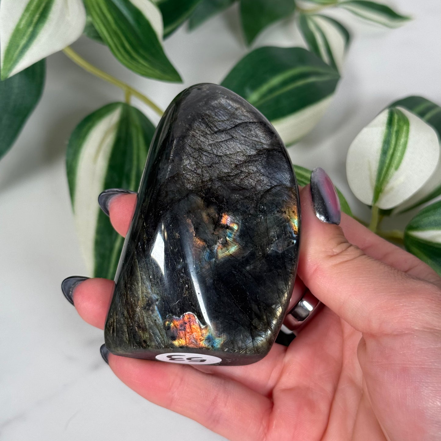 Labradorite freeform 53