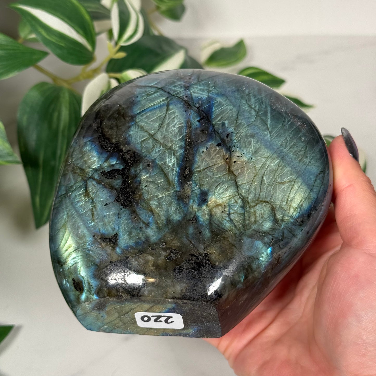 Bright blue labradorite freeform 220