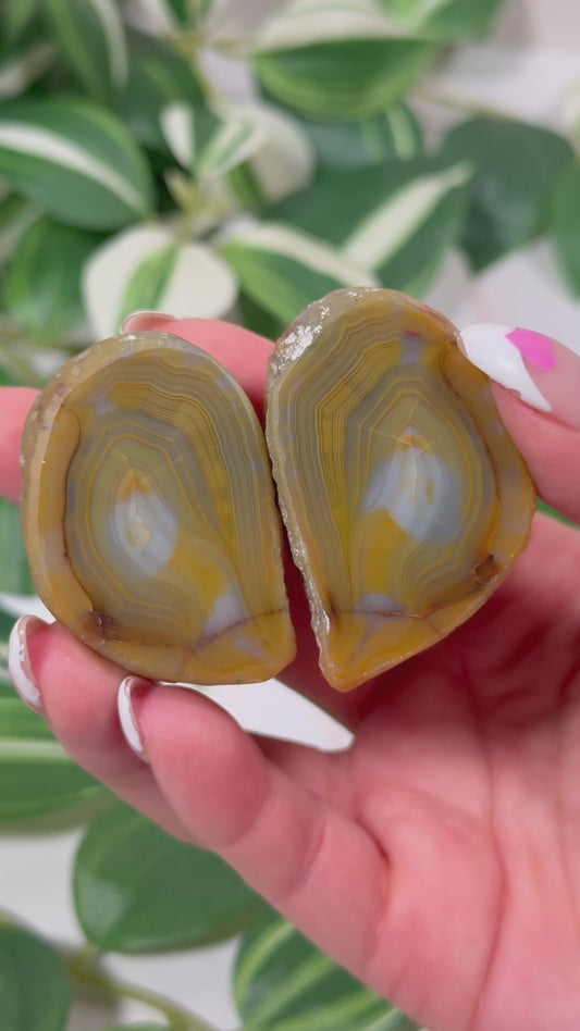 Queensland agate pair 120 (parallax)
