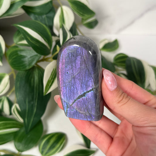 Labradorite freeform 19