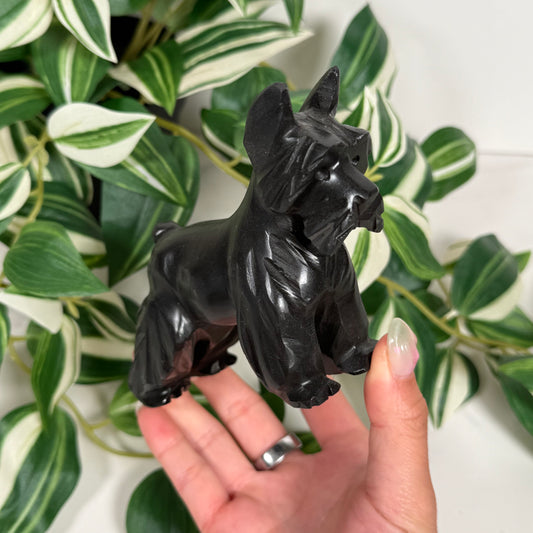 Black onyx Schnauzer
