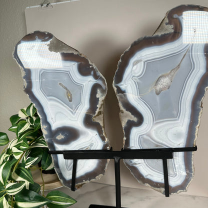 Agate wings on stand