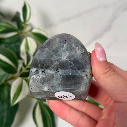 Labradorite freeform 23b