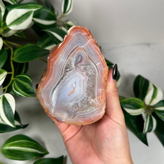 Large Patagonia agate