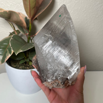 Naica selenite with enhydro