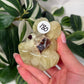 Autralian prehnite frog