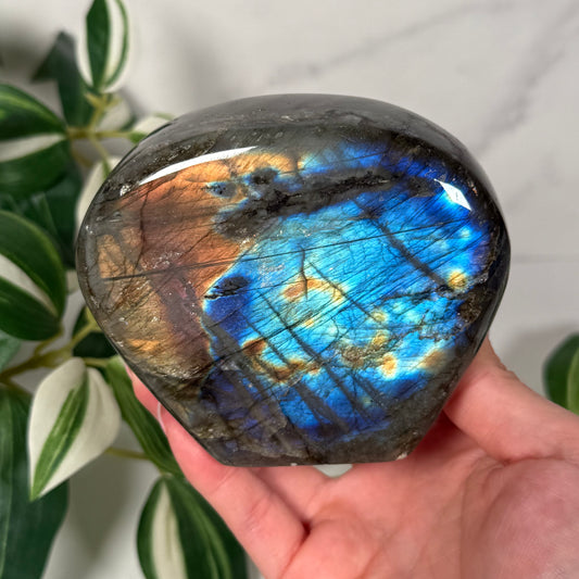 Labradorite freeform 75