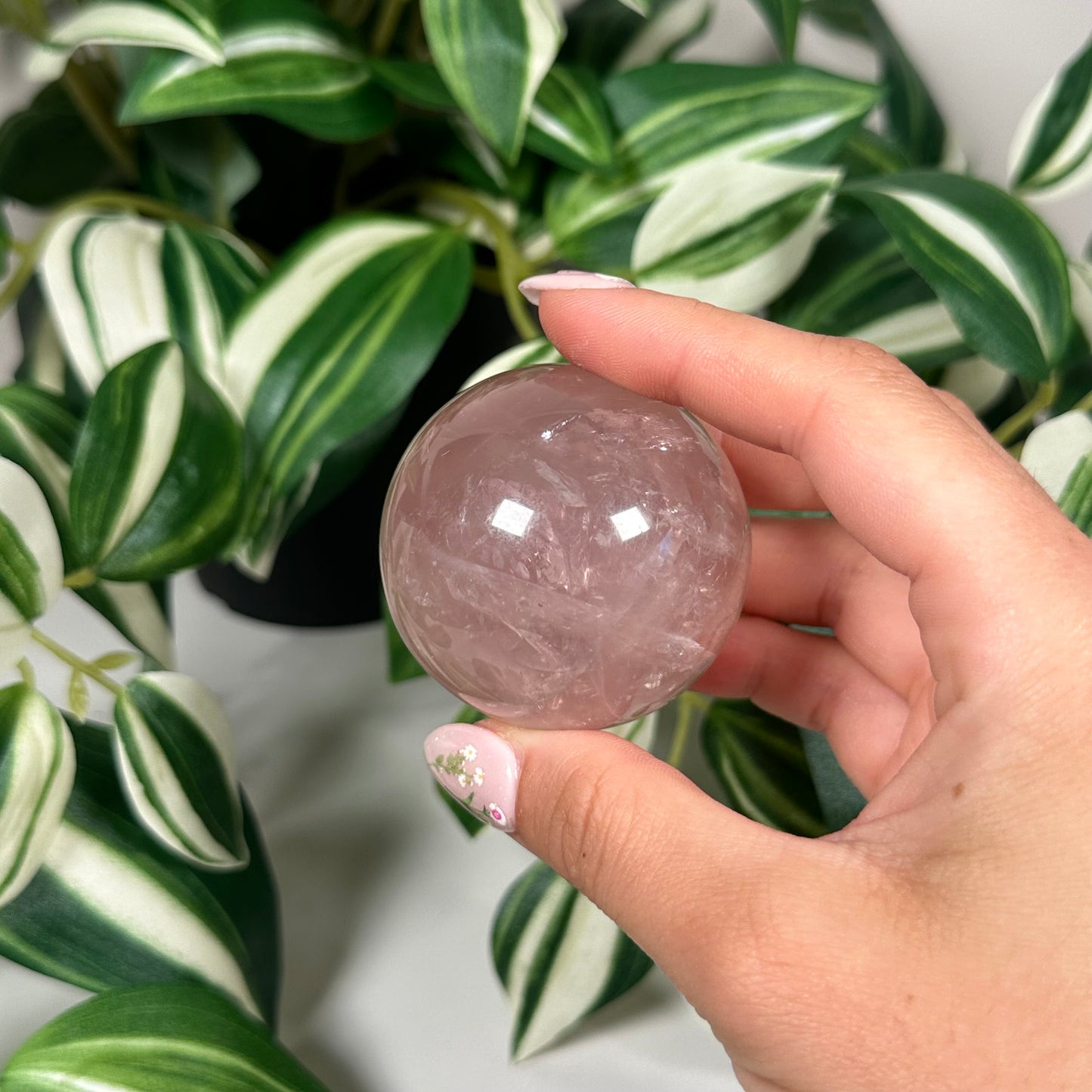 Rose quartz sphere 19