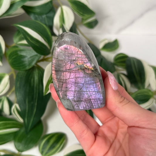 Labradorite freeform 19b