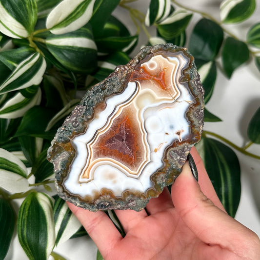 Condor agate 250