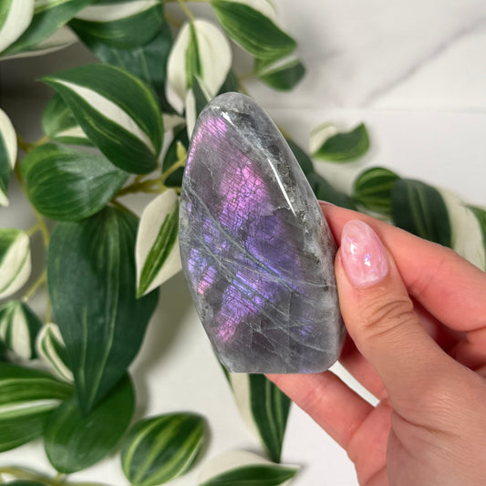 Labradorite freeform 18