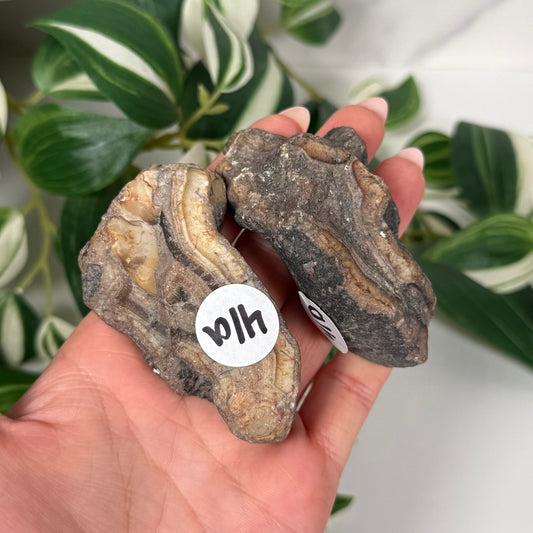 Indonesian agate pair 80