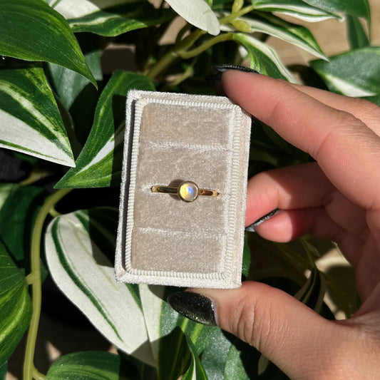 Gold plated size 8 rainbow moonstone ring